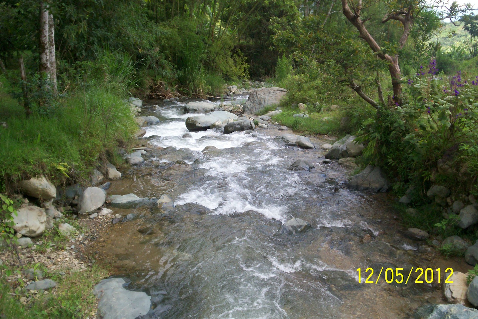 Río Medio Pañuelo, corregimiento Venecia – Trujillo – Valle del Cauca